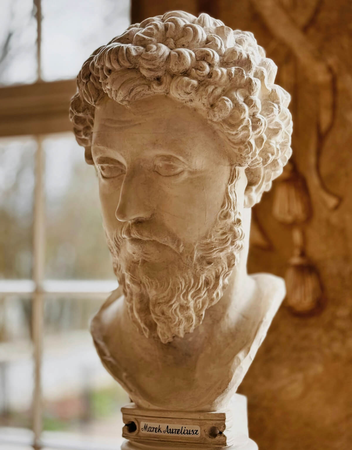 Marcus Aurelius can help with wisdom of discipline which can be applied to investing.